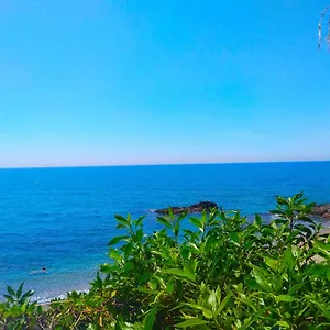 https://misericordia-beach-holidays.1costadelsol.com